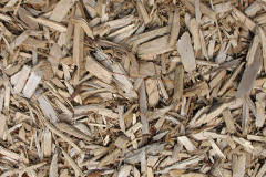 biomass boilers Pitsmoor